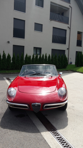 Alfa Spider042