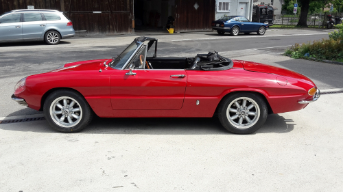 Alfa Spider044